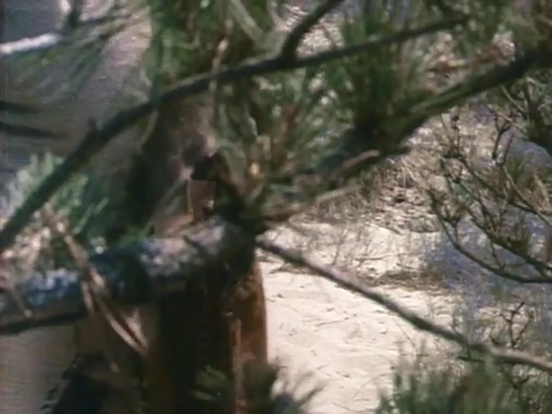 A Nymphoid Barbarian in Dinosaur Hell scene still 4