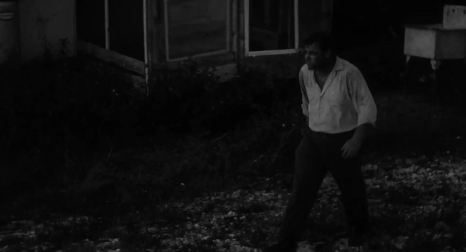 The Nest of the Cuckoo Birds scene still 1