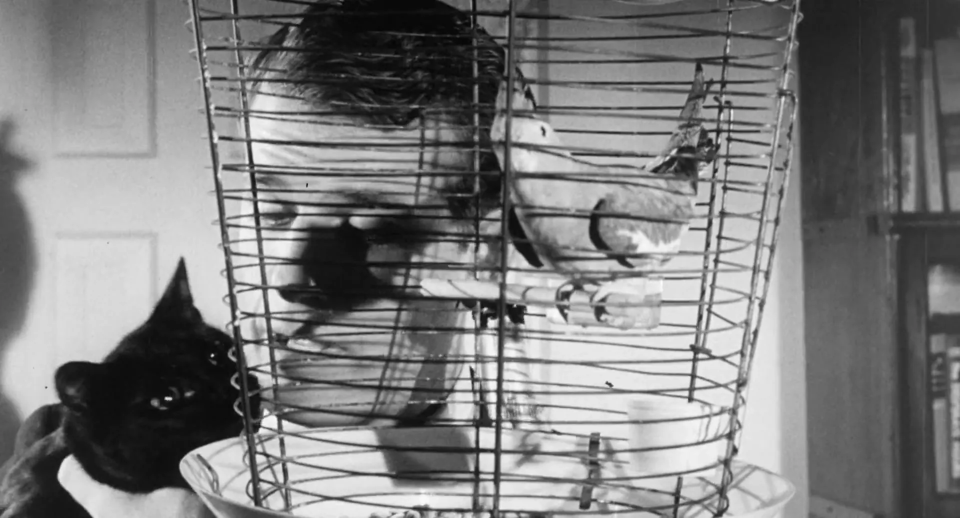 The Black Cat scene still 1