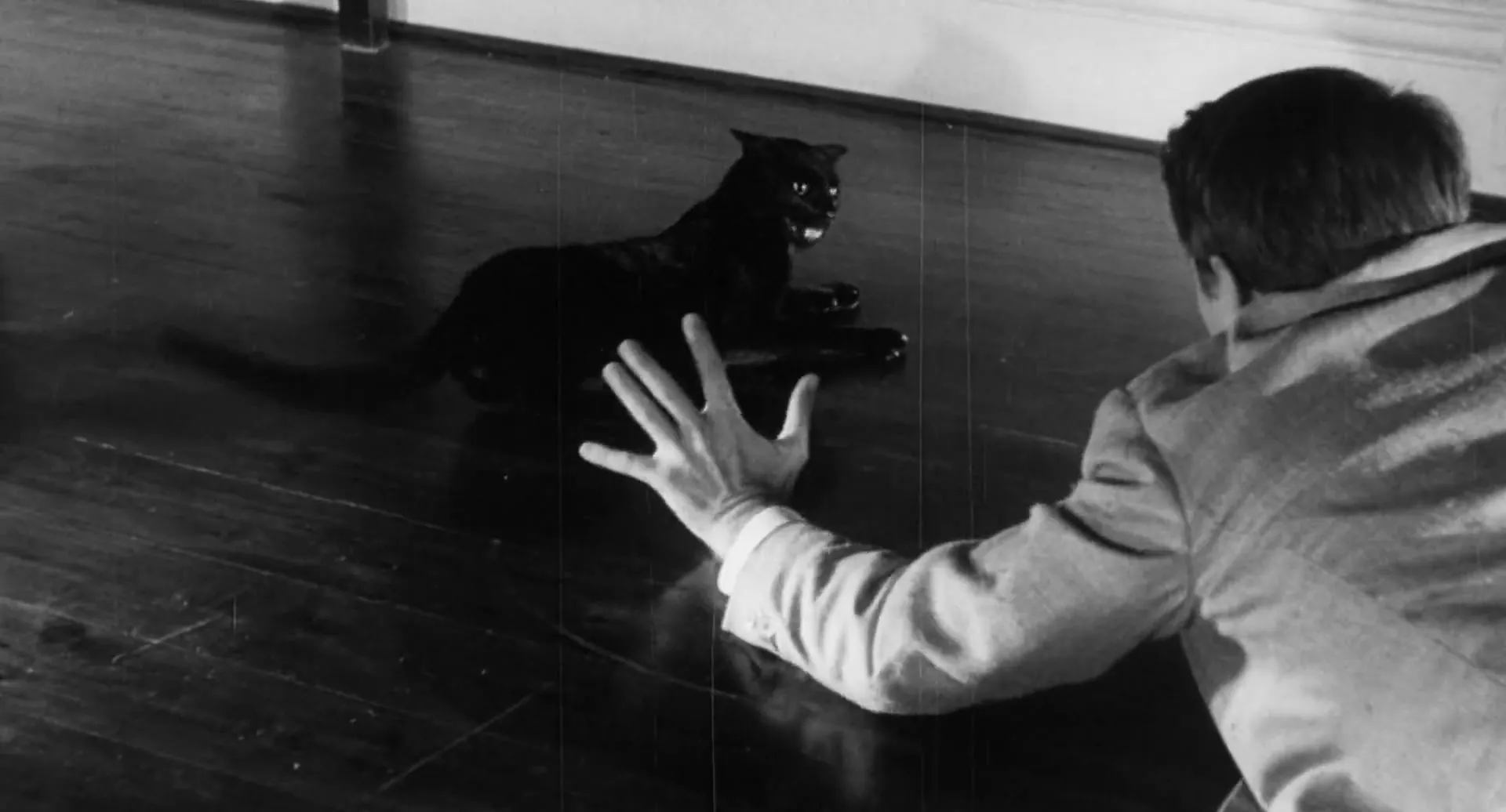The Black Cat scene still 4