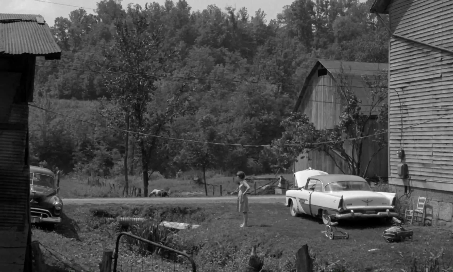Spring Night, Summer Night scene still 4