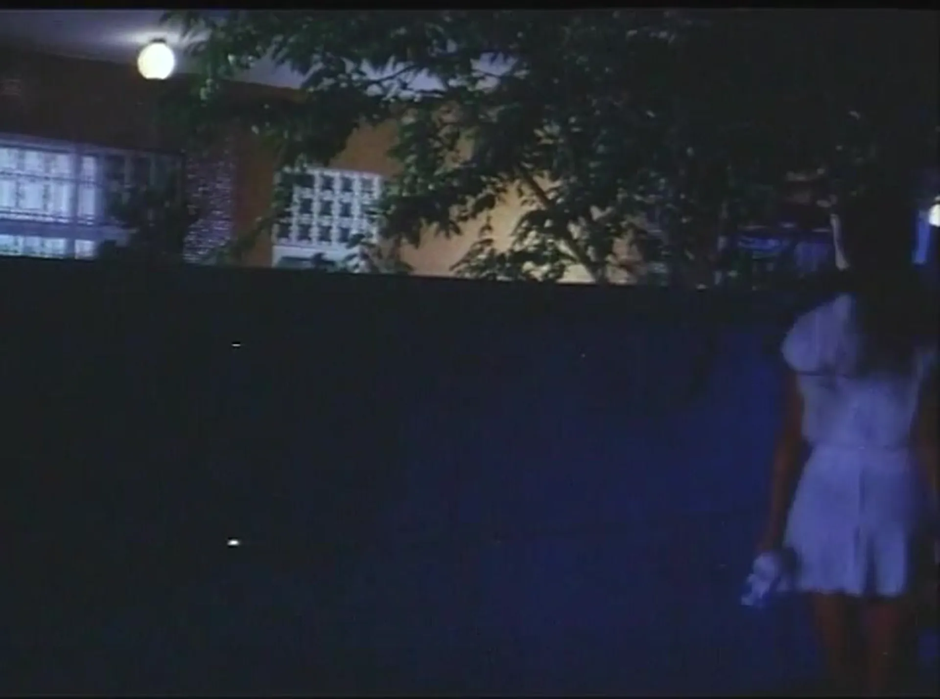 Ninja and the Warriors of Fire scene still 2