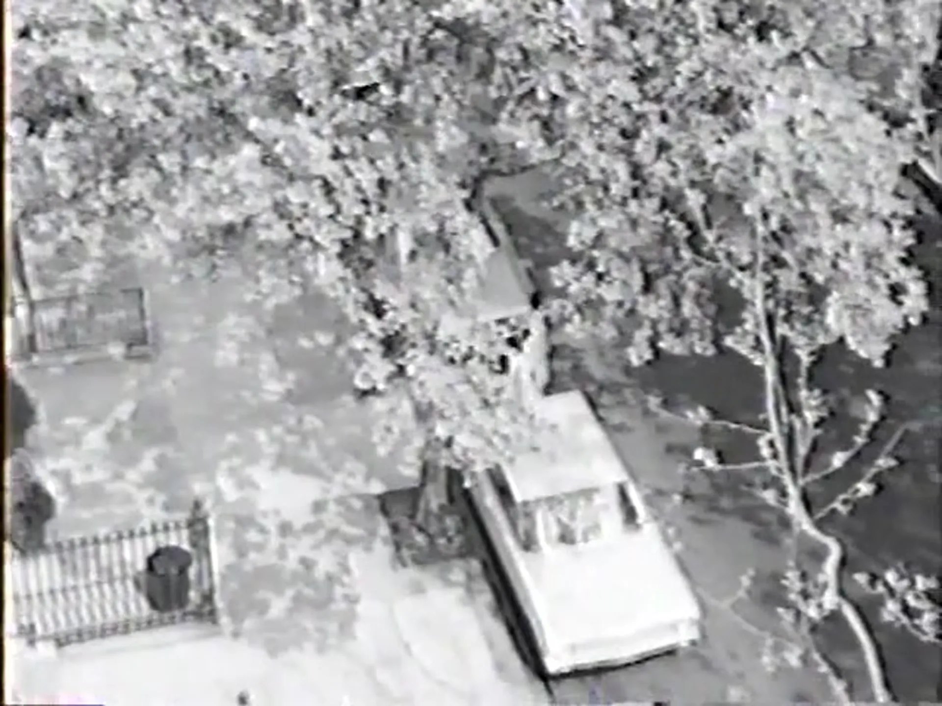 Lust Weekend scene still 2