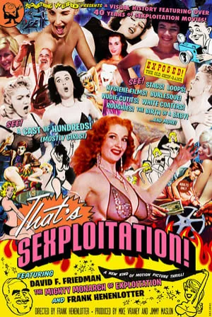 That's Sexploitation! (2013) Movie Poster - SassyFlix