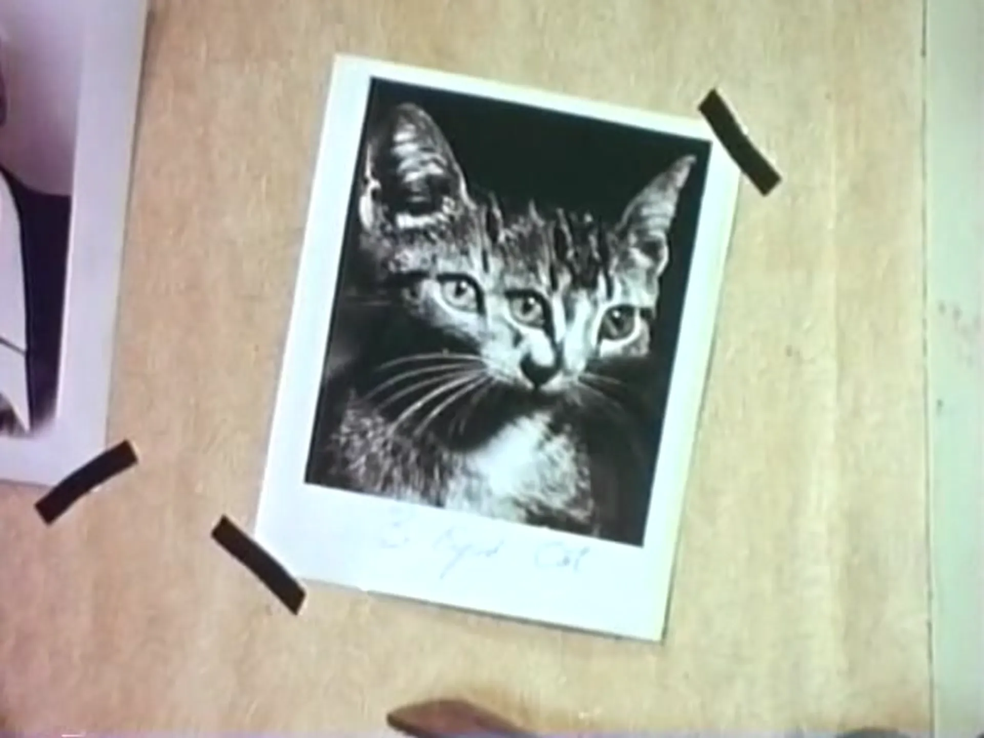 The 'Imp'probable Mr. Wee Gee scene still 2