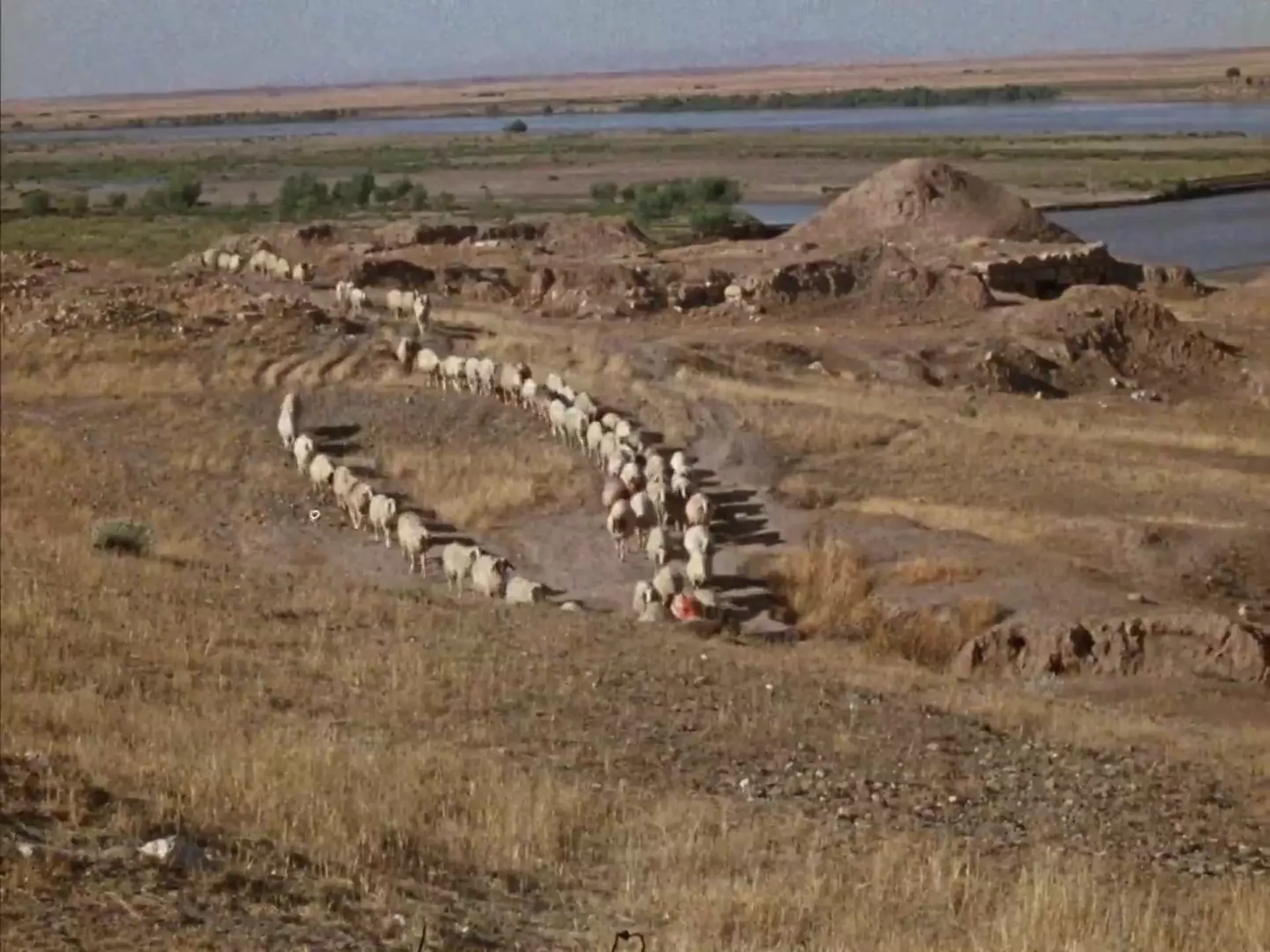 The Believer's Heaven scene still 2