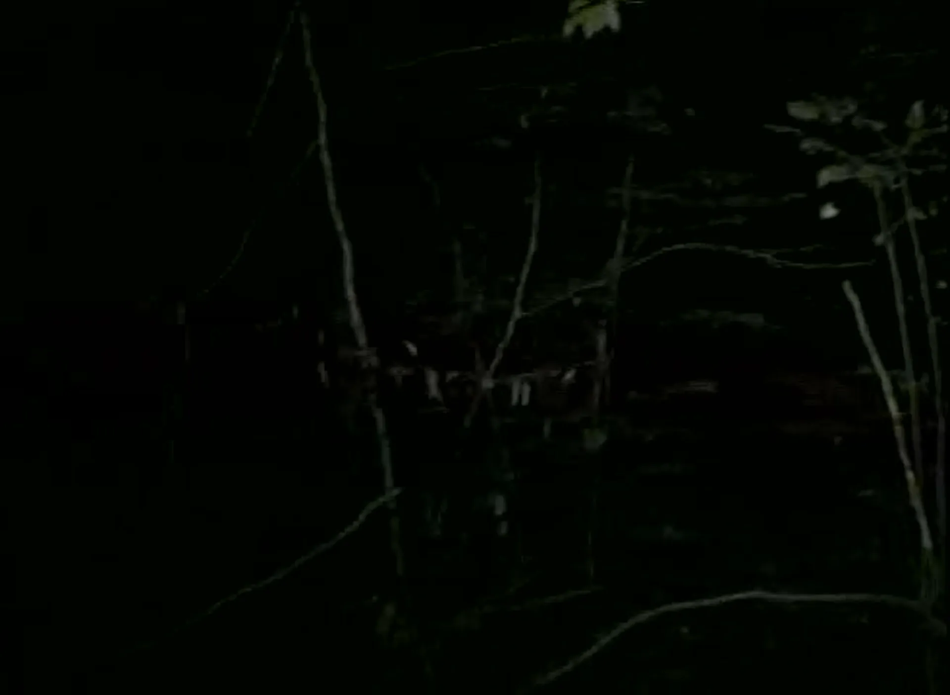 The Erotic Witch Project scene still 2