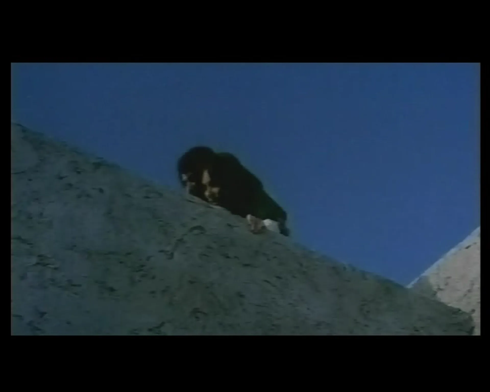 Say Your Prayers... and Dig Your Grave! scene still 1