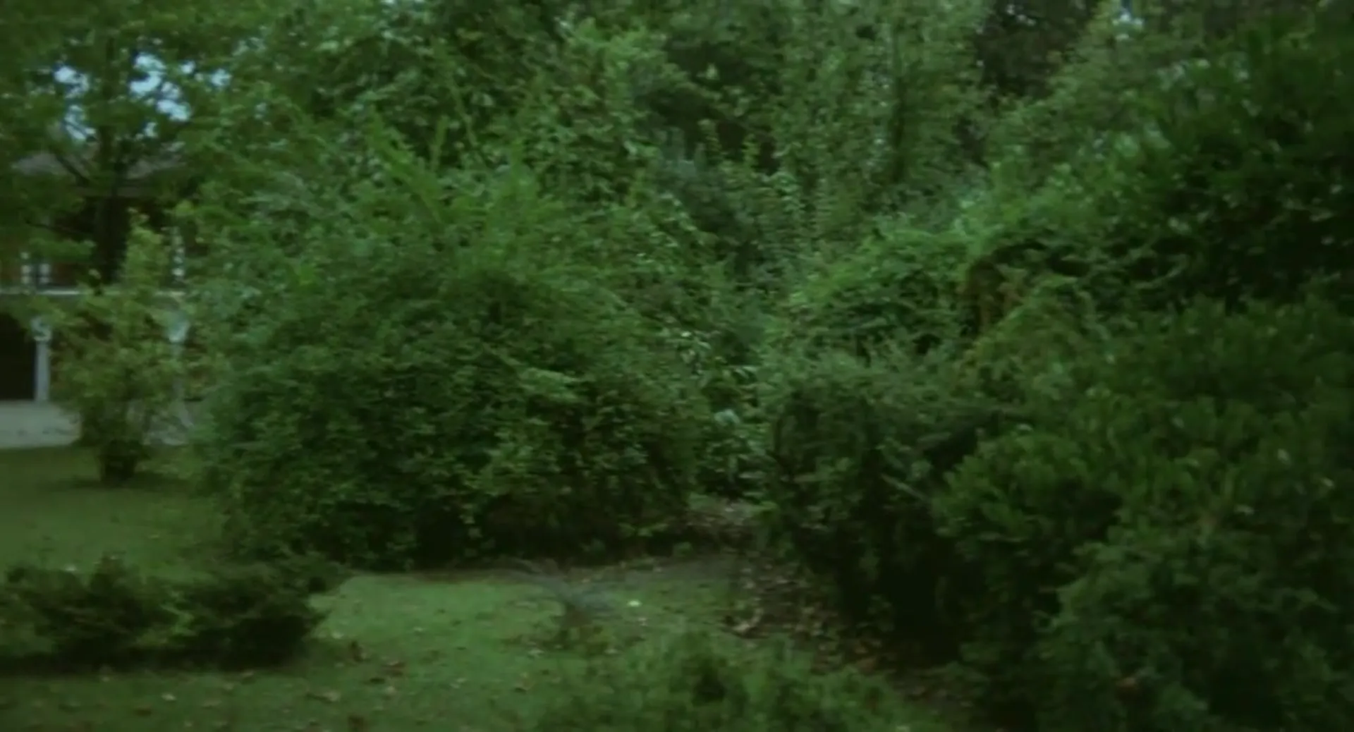 Women Without Innocence scene still 5