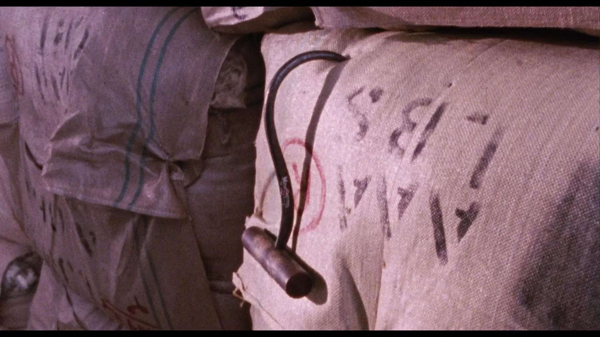 Day of the Panther scene still 6