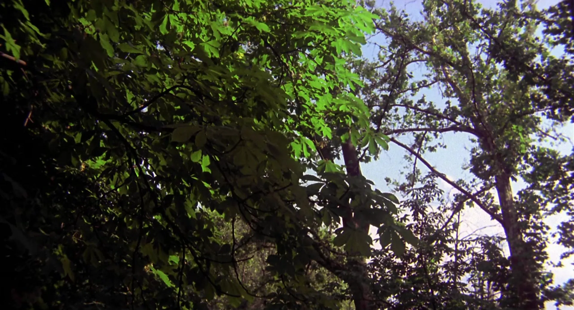 Inquisition scene still 3