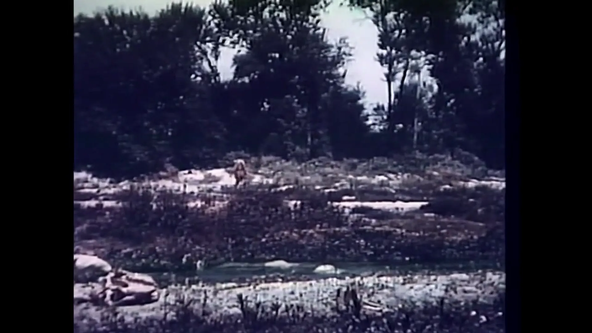 Prehistoric Women scene still 6