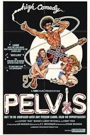 Pelvis