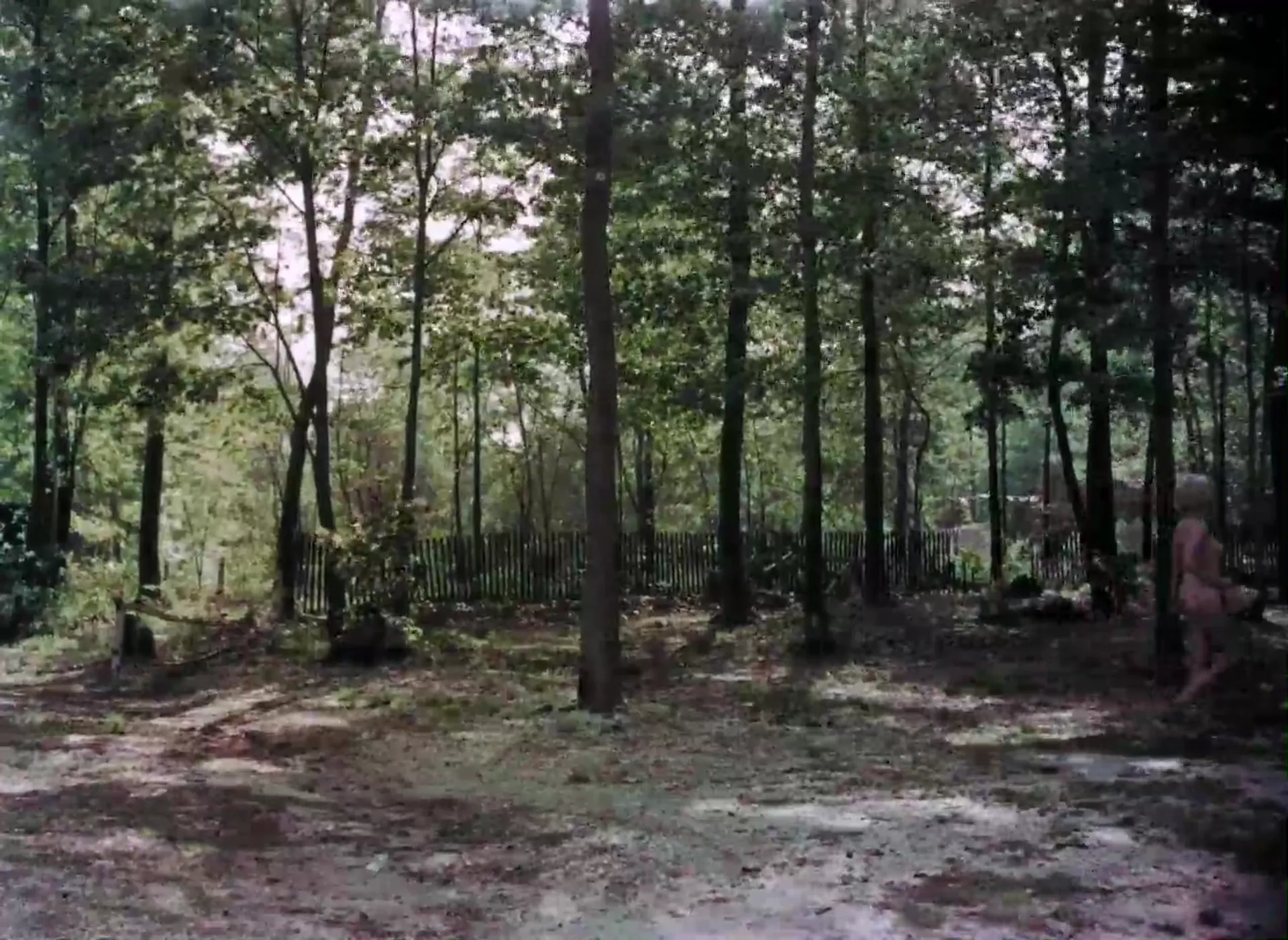 The Prince and the Nature Girl scene still 3