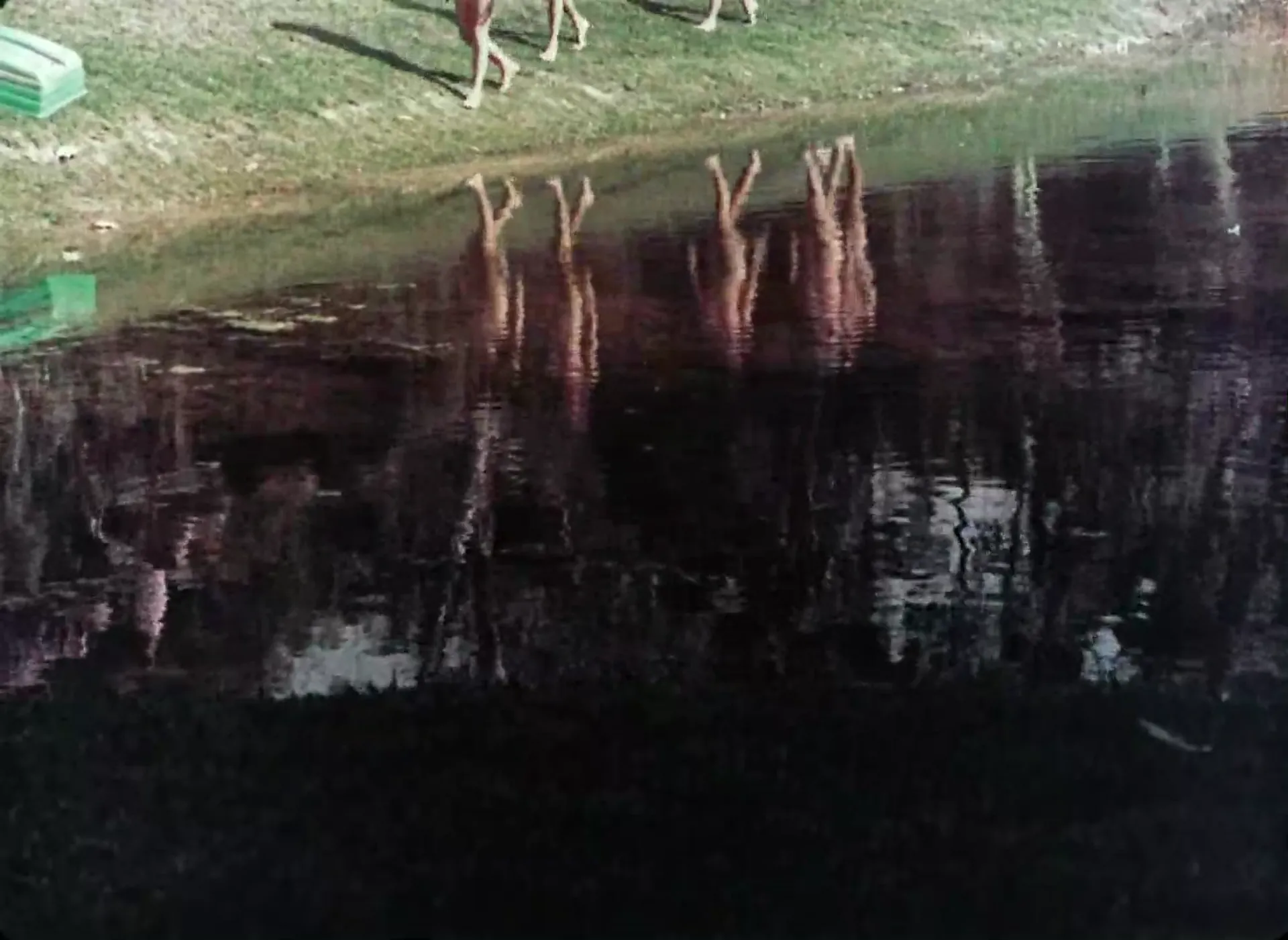 The Prince and the Nature Girl scene still 4