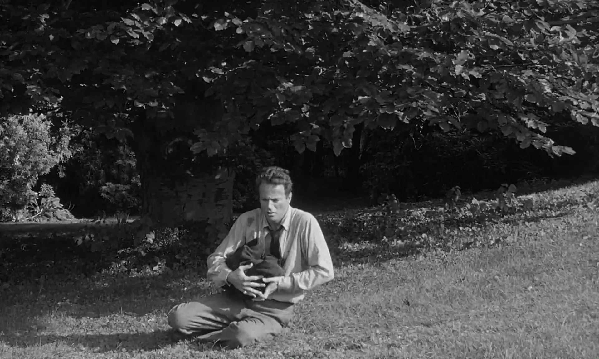The Brain That Wouldn't Die scene still 2