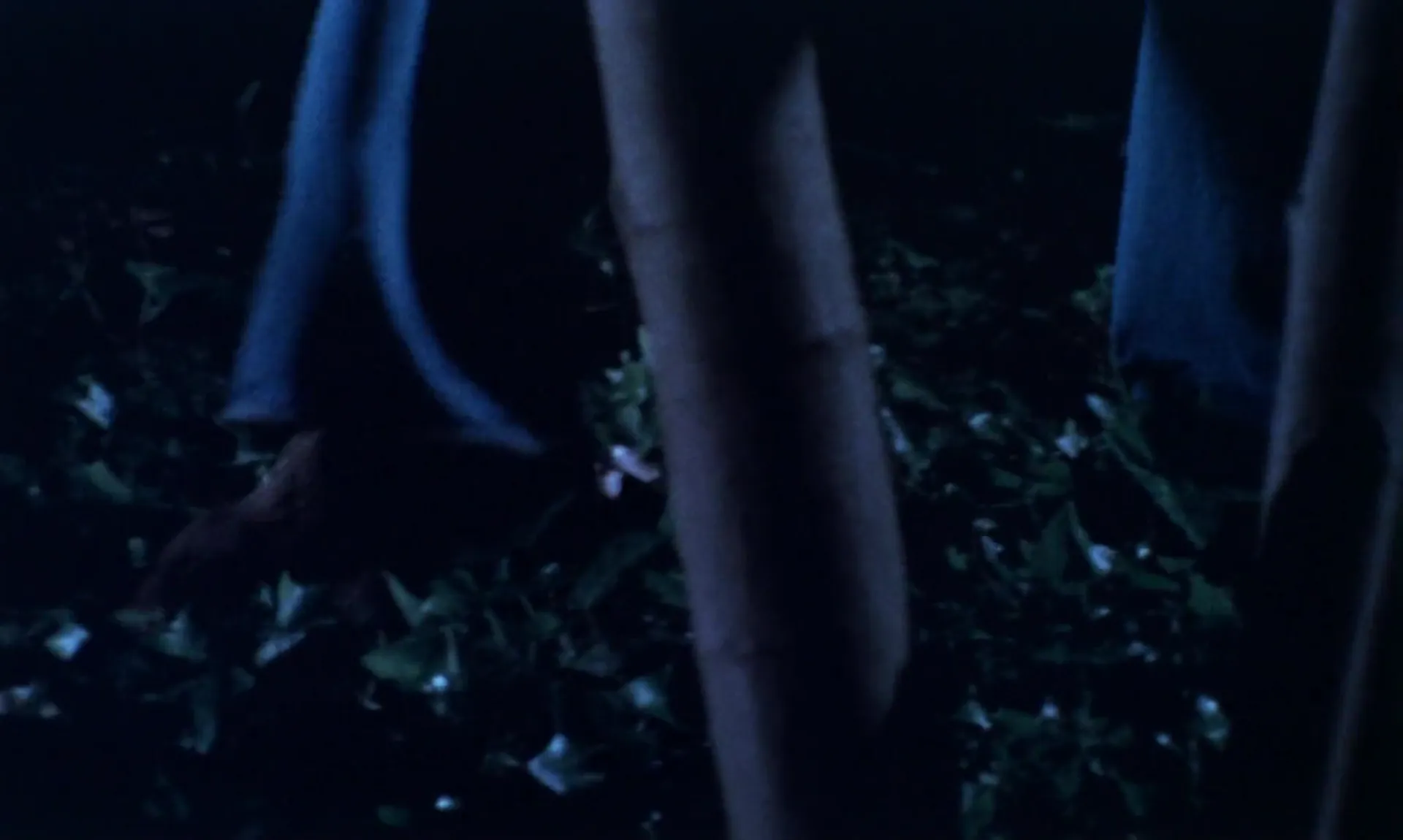 The Dorm That Dripped Blood scene still 4