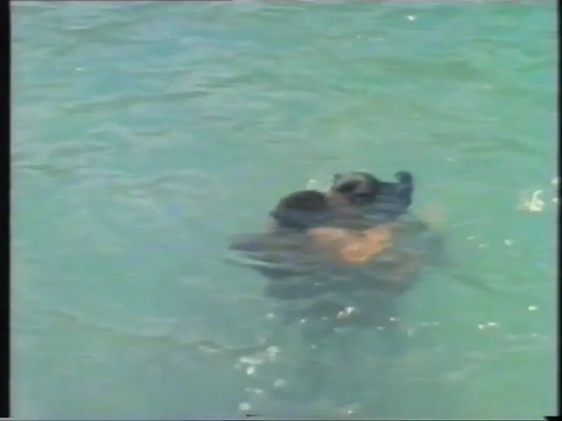 Naked Paradise scene still 5