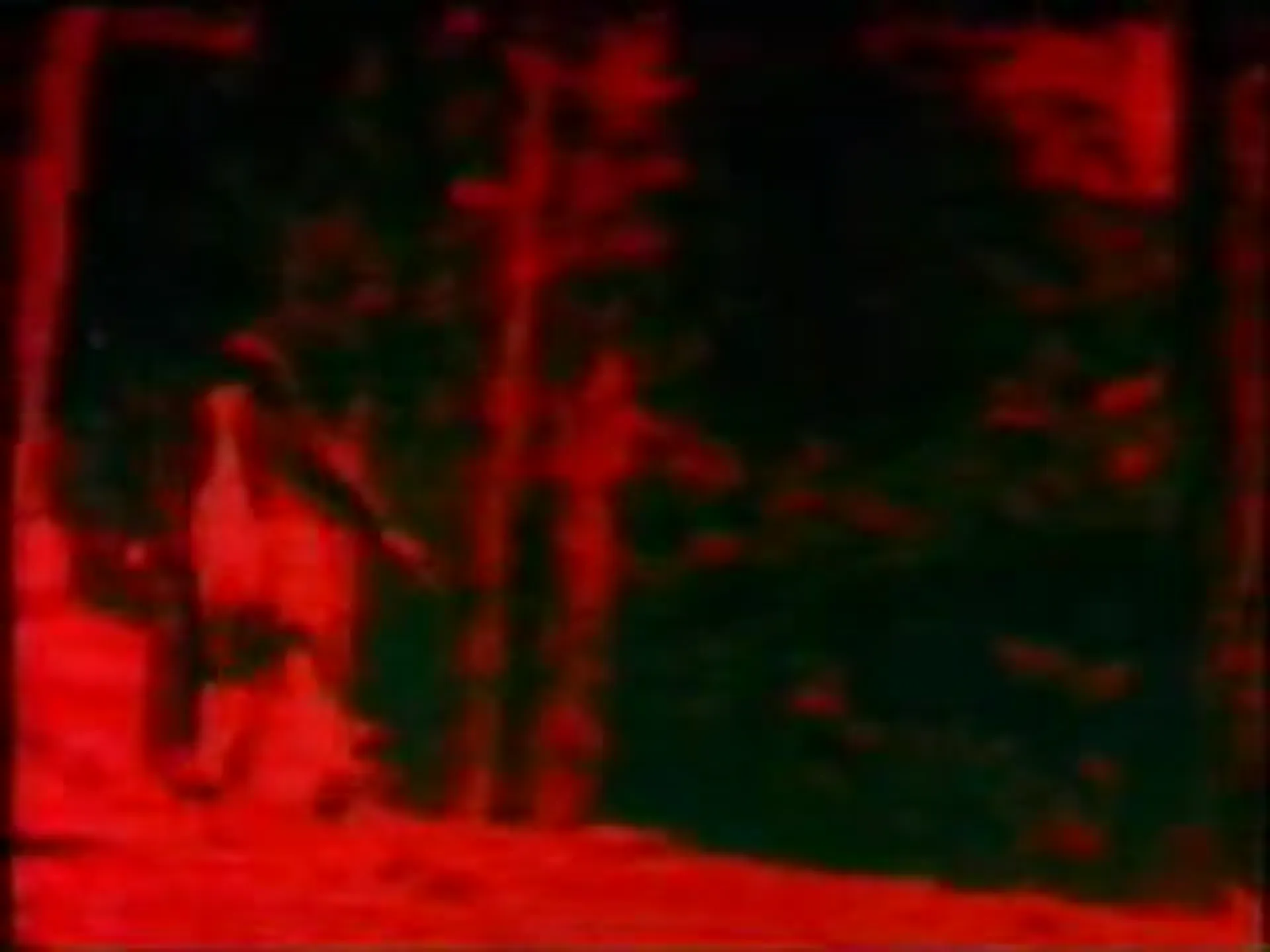 Mondo Cane 2000 -The Incredible scene still 3