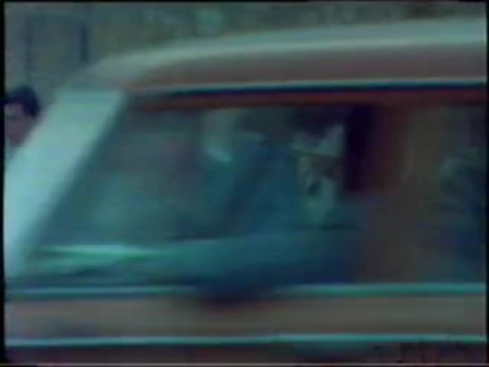 Mondo Cane 2000 -The Incredible scene still 4