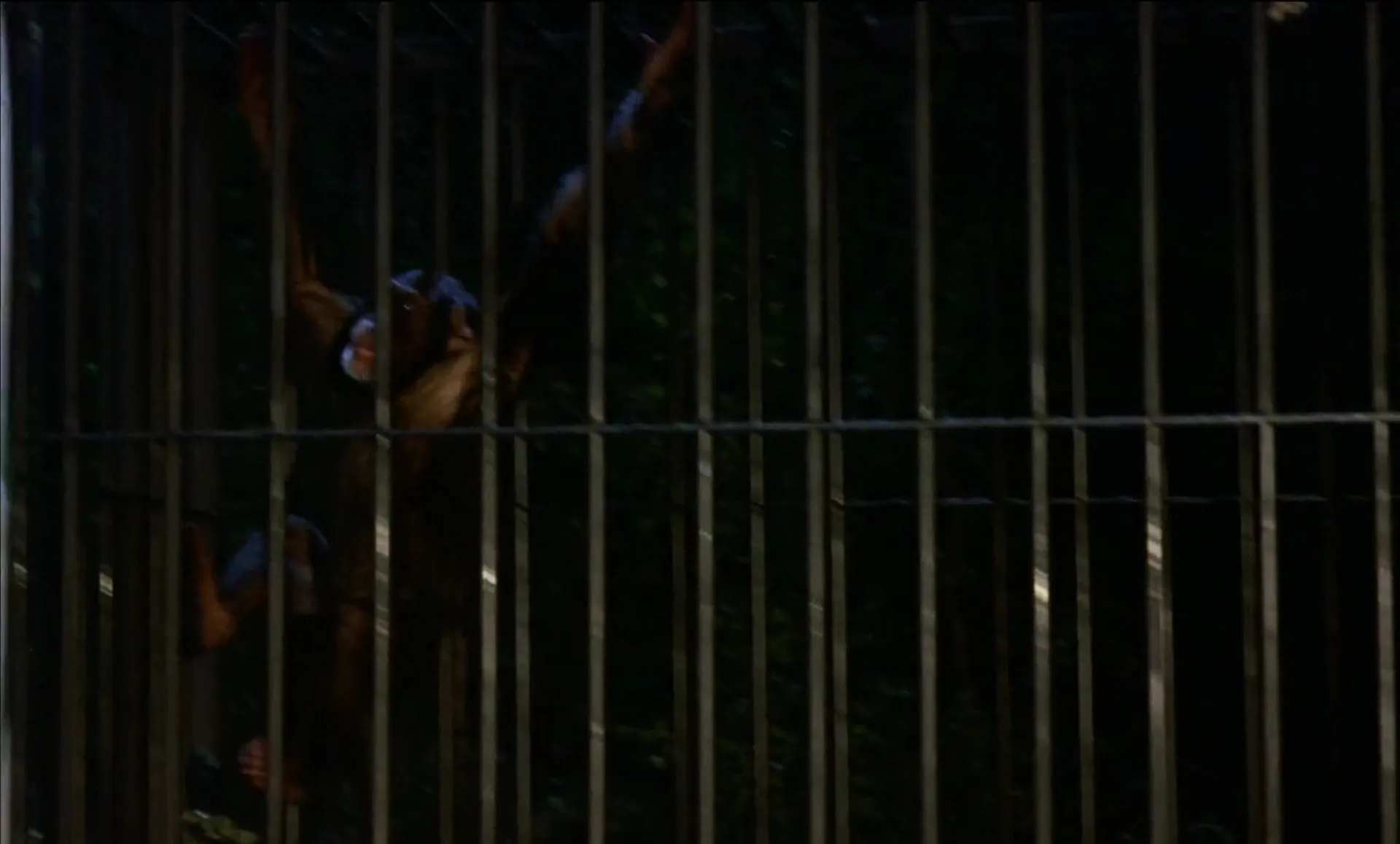 Vampire Circus scene still 3