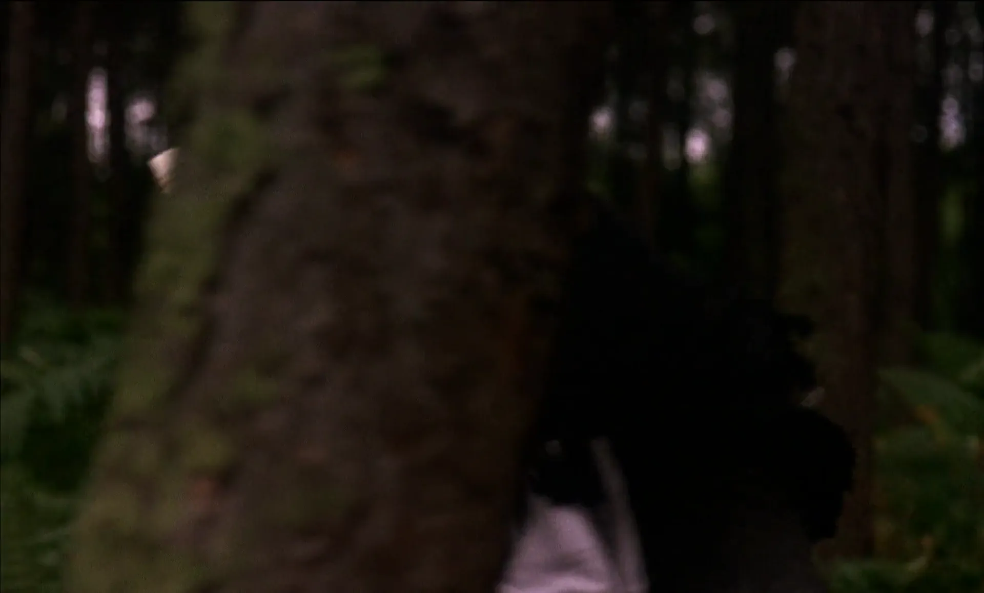 Vampire Circus scene still 6