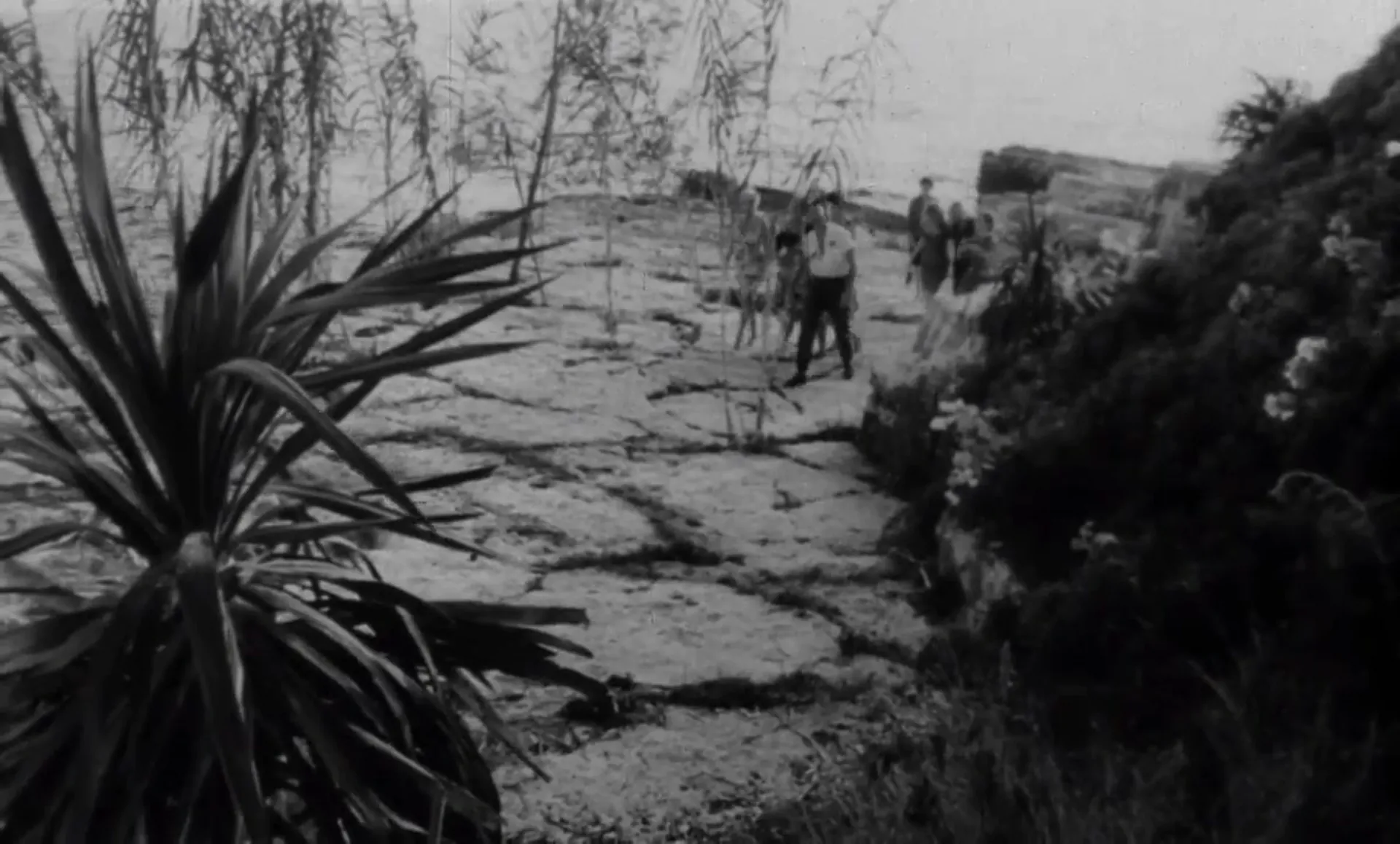 Horrors of Spider Island scene still 3