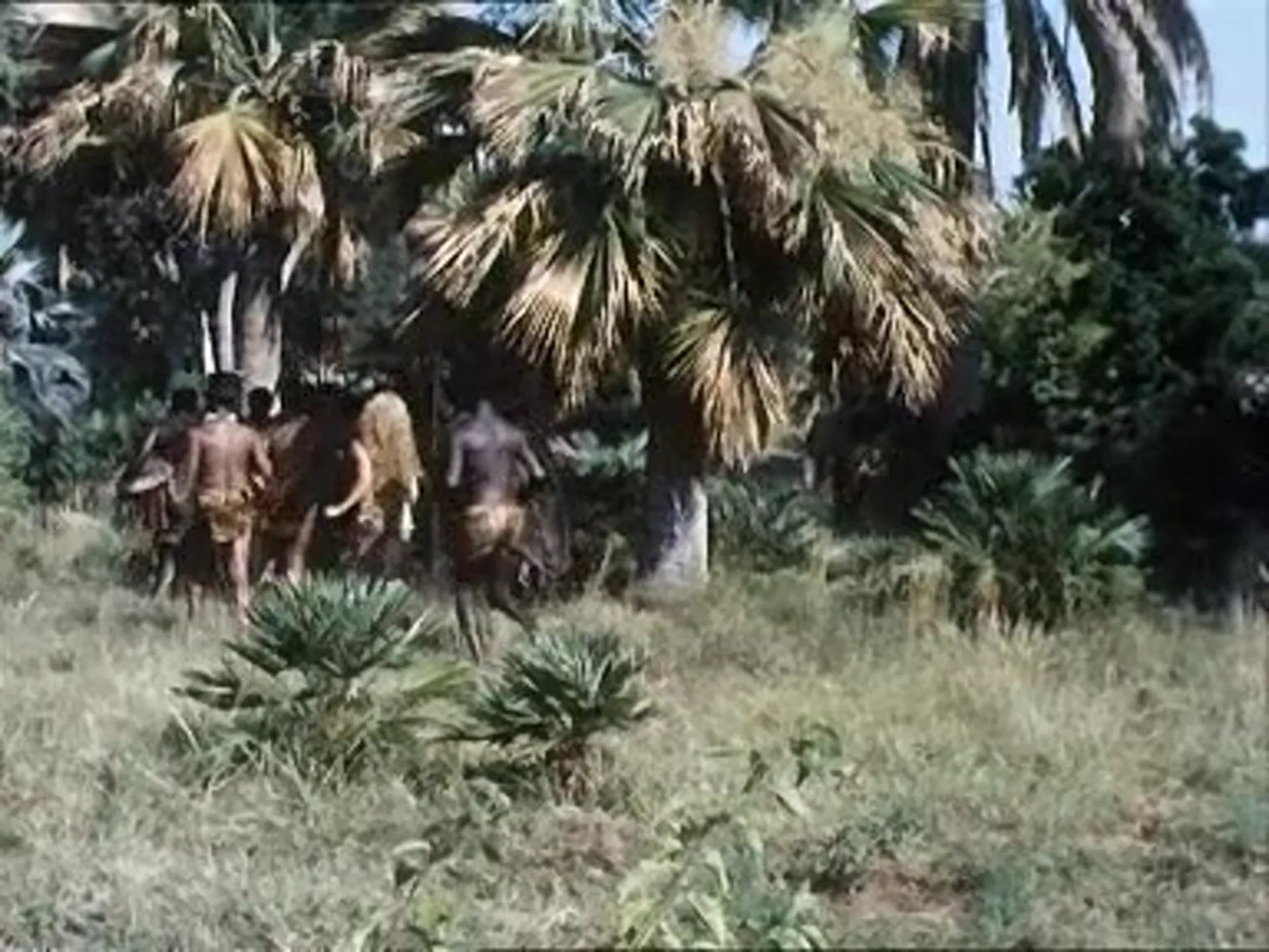 Liane, Jungle Goddess scene still 1