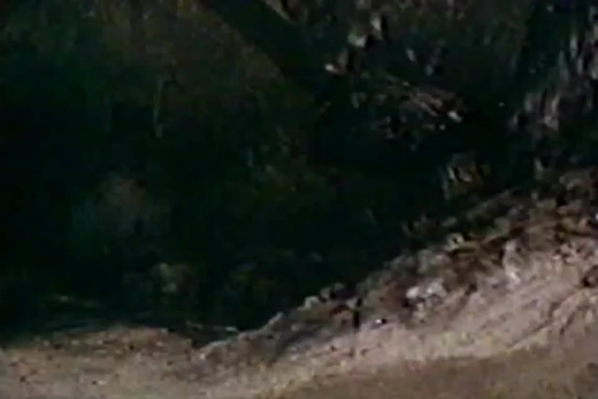 The Best of Sex and Violence scene still 3