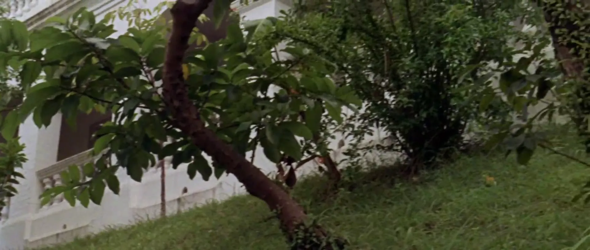 The Million Eyes of Sumuru scene still 3