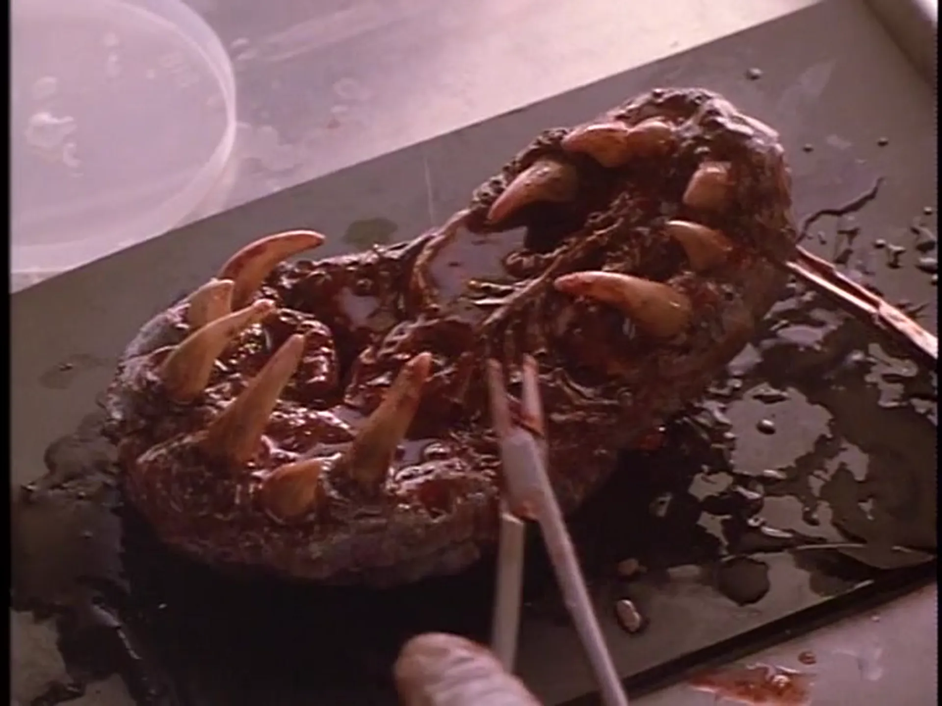 Metamorphosis scene still 4