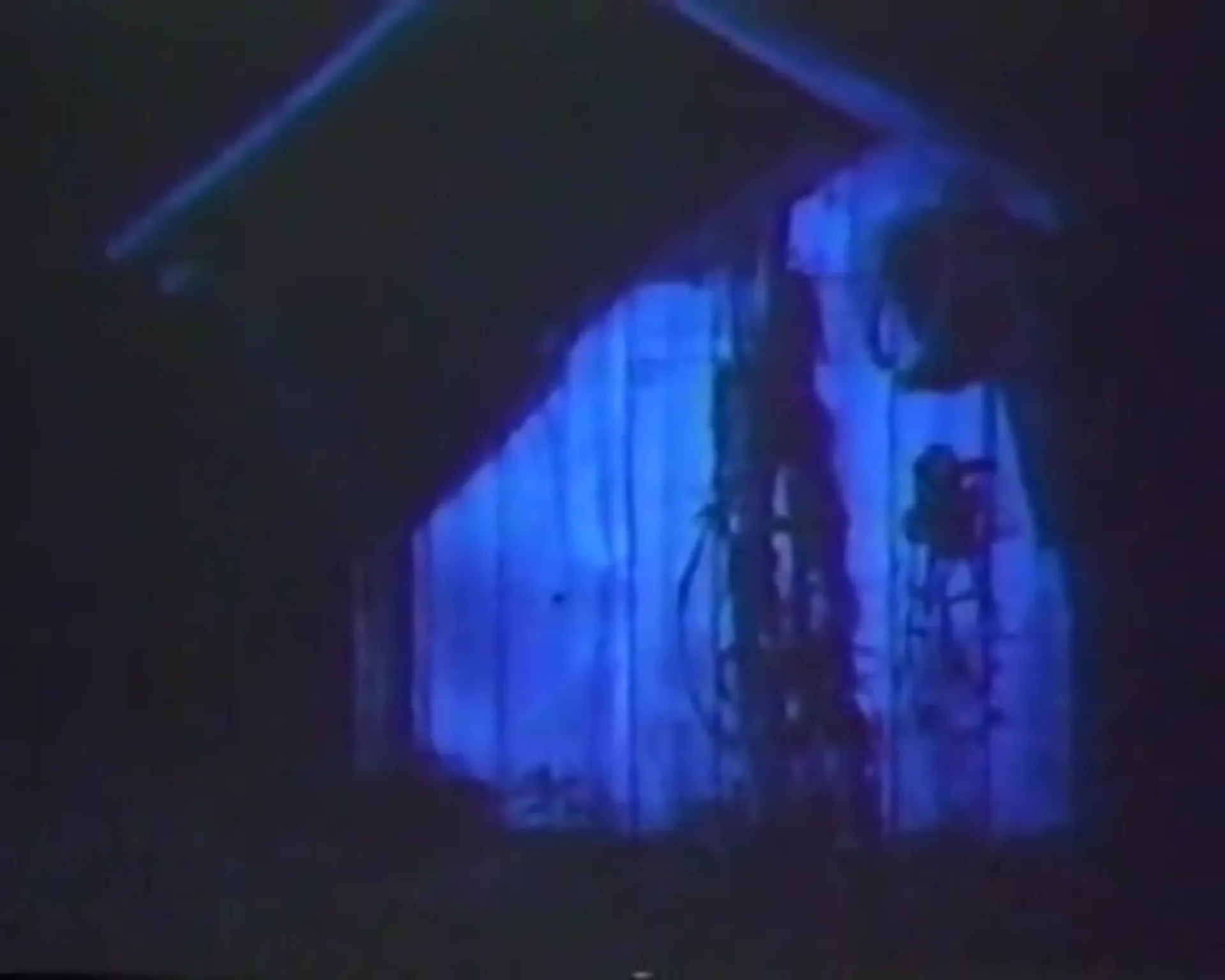 Backwoods scene still 5