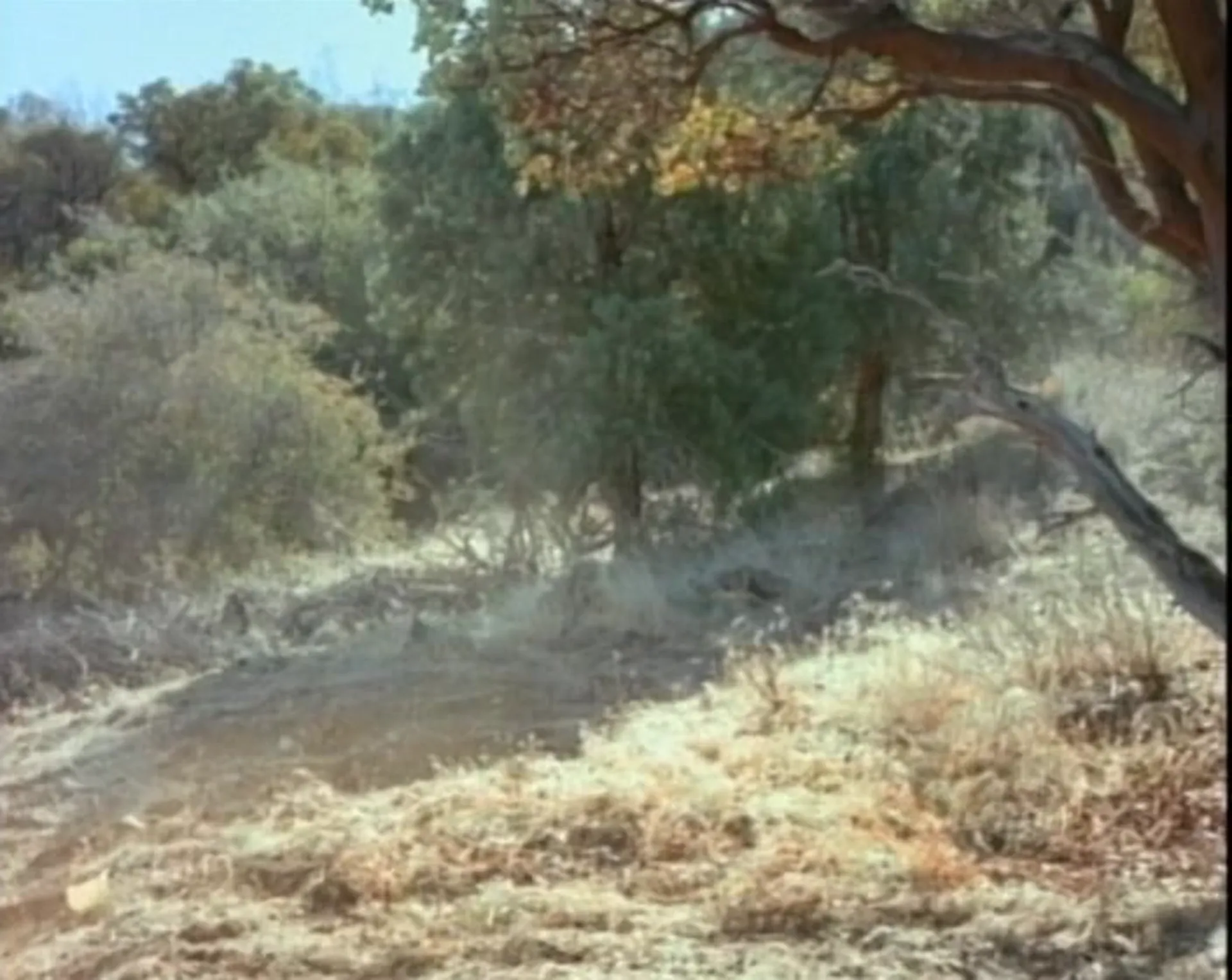 GiAnts scene still 3
