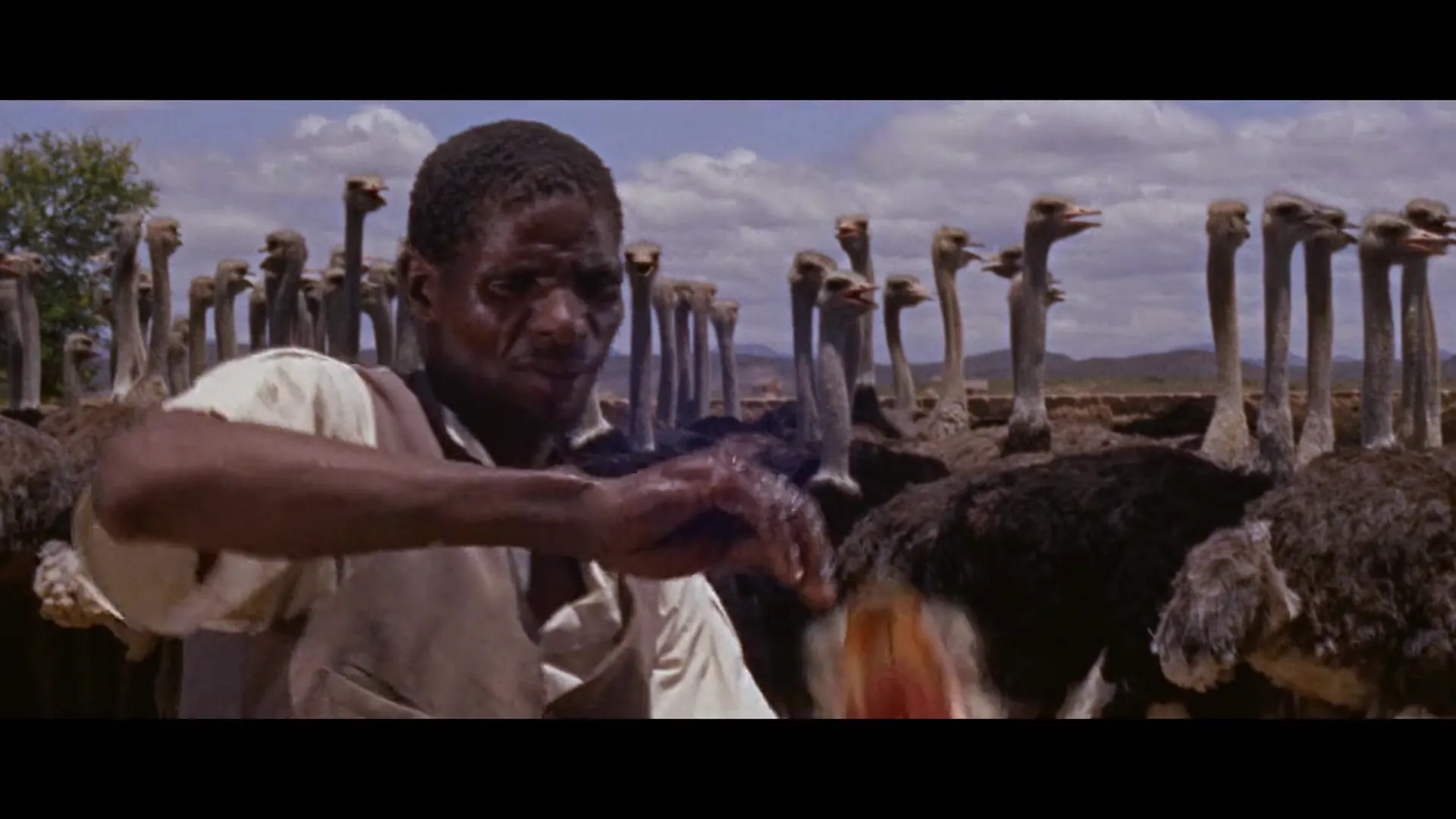 Code 7, Victim 5 scene still 6