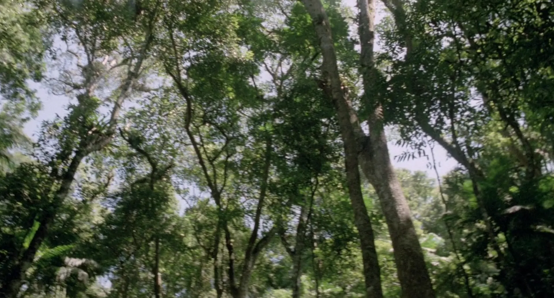 Massacre in Dinosaur Valley scene still 5