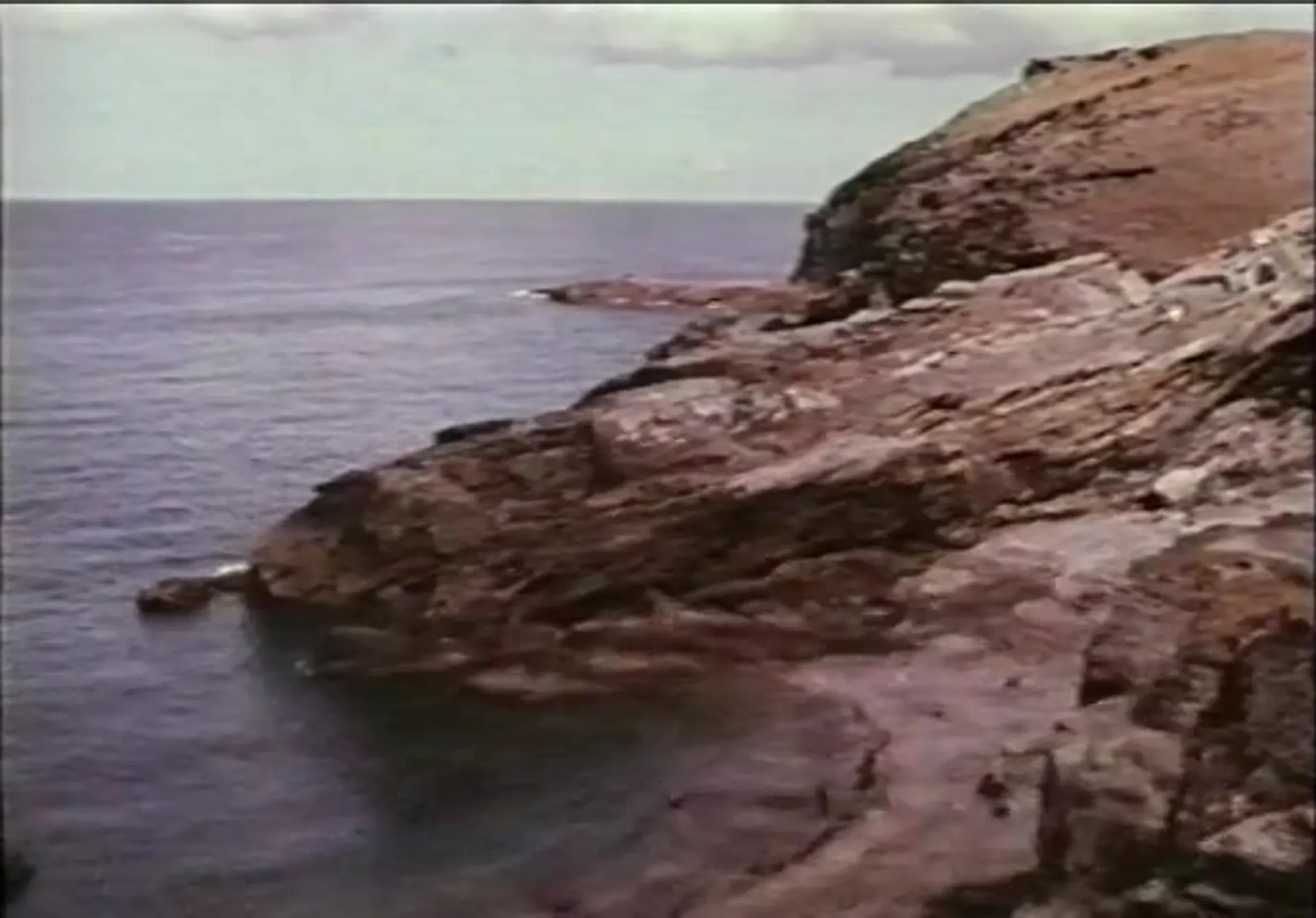 Naked as Nature Intended scene still 6