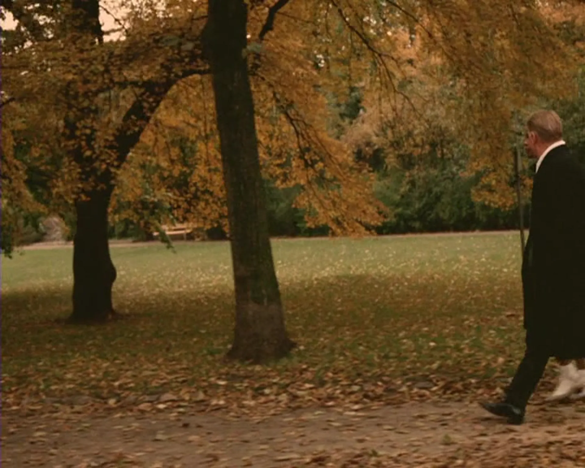 Cardillac scene still 1