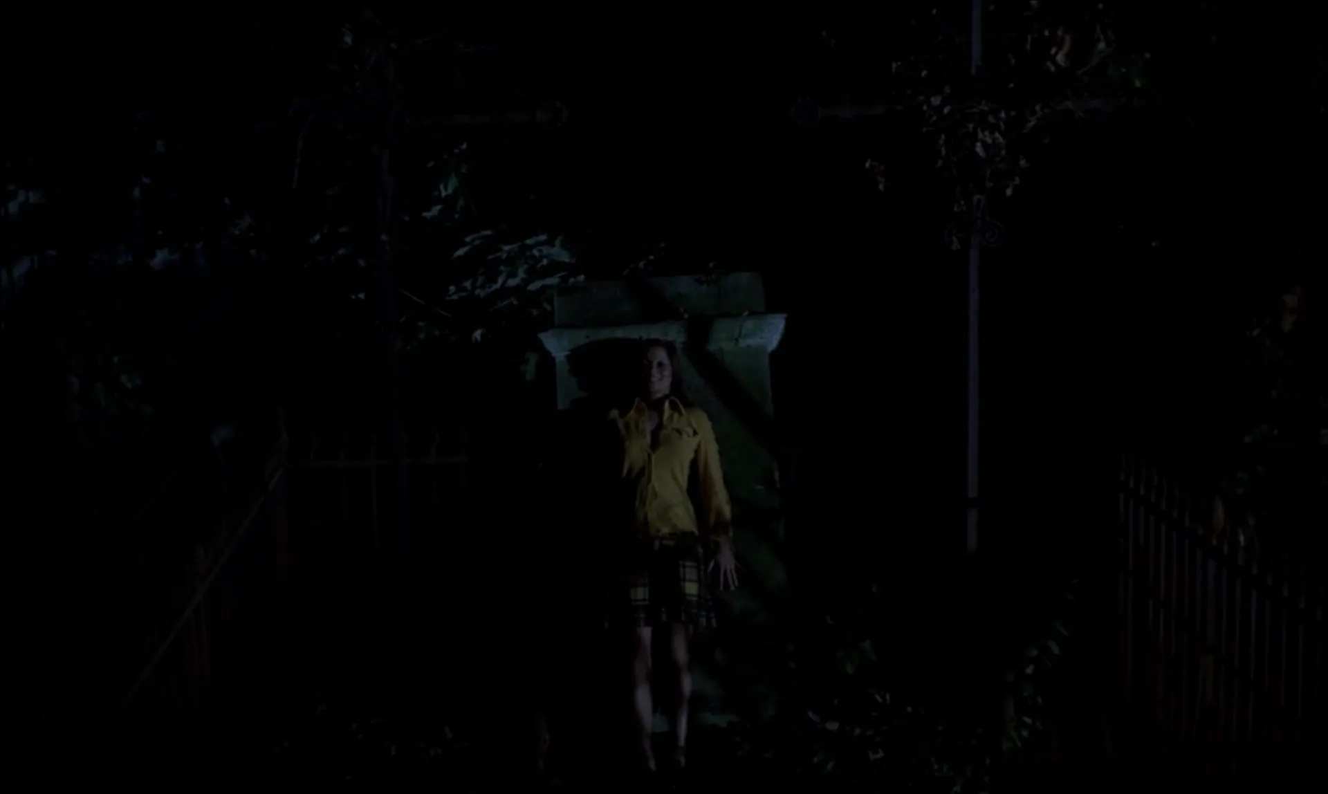 The Iron Rose scene still 10
