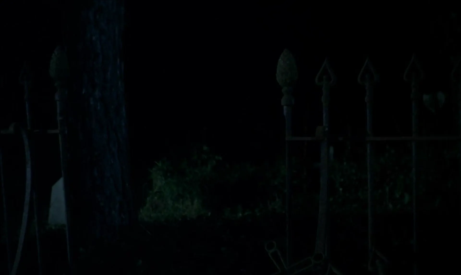 The Iron Rose scene still 7