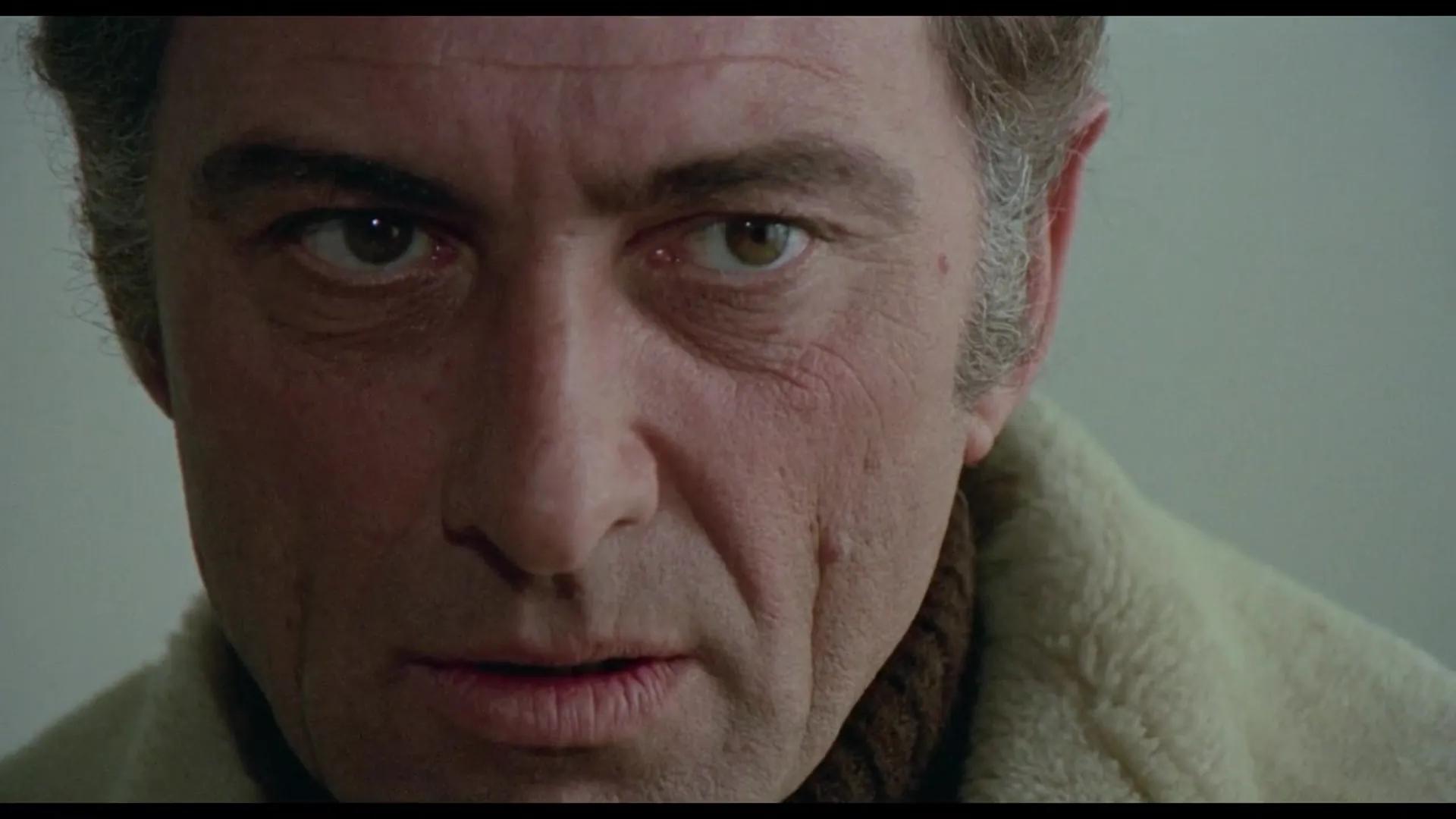 The Cat in Heat scene still 1