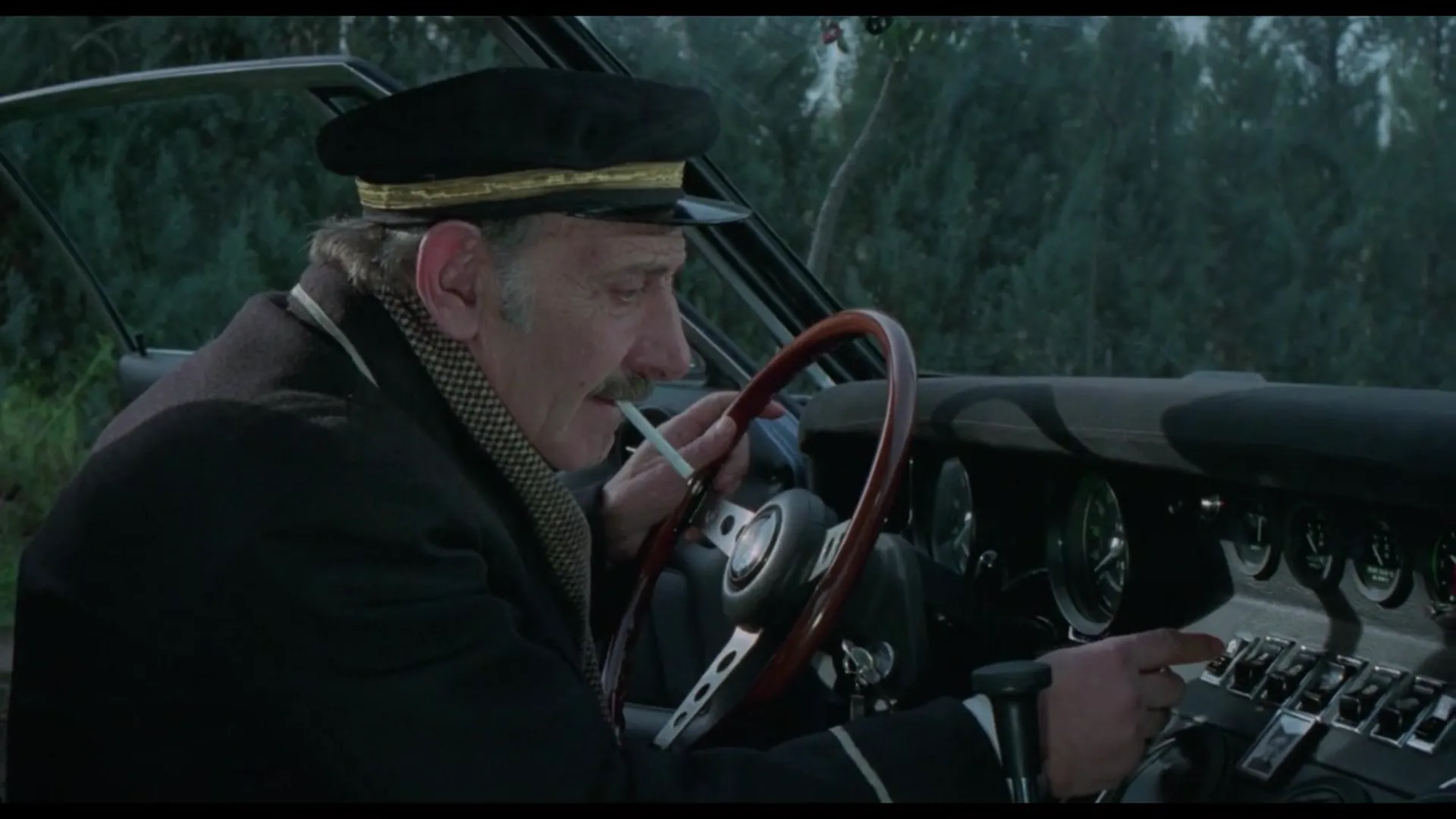 The Cat in Heat scene still 4