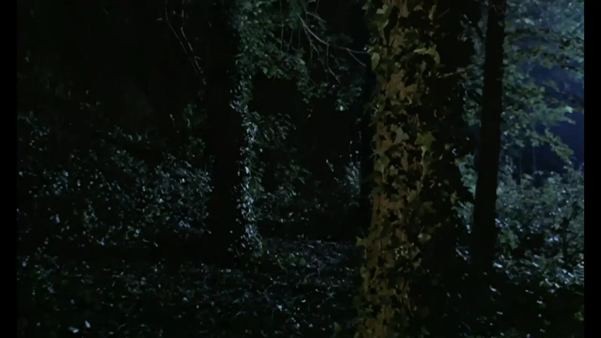 Something Creeping in the Dark scene still 12