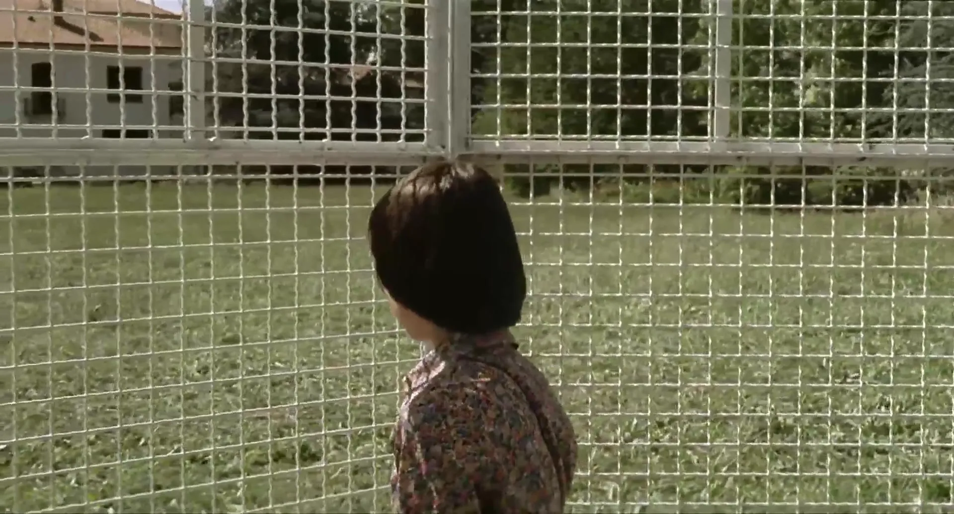 Cock Crows at Eleven scene still 6