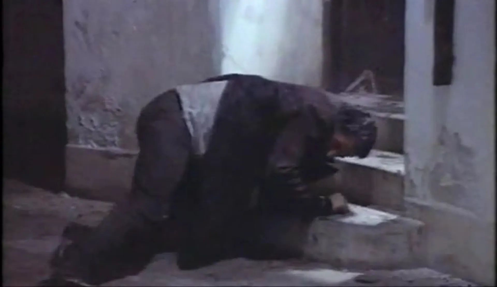 The Hand That Feeds the Dead scene still 6