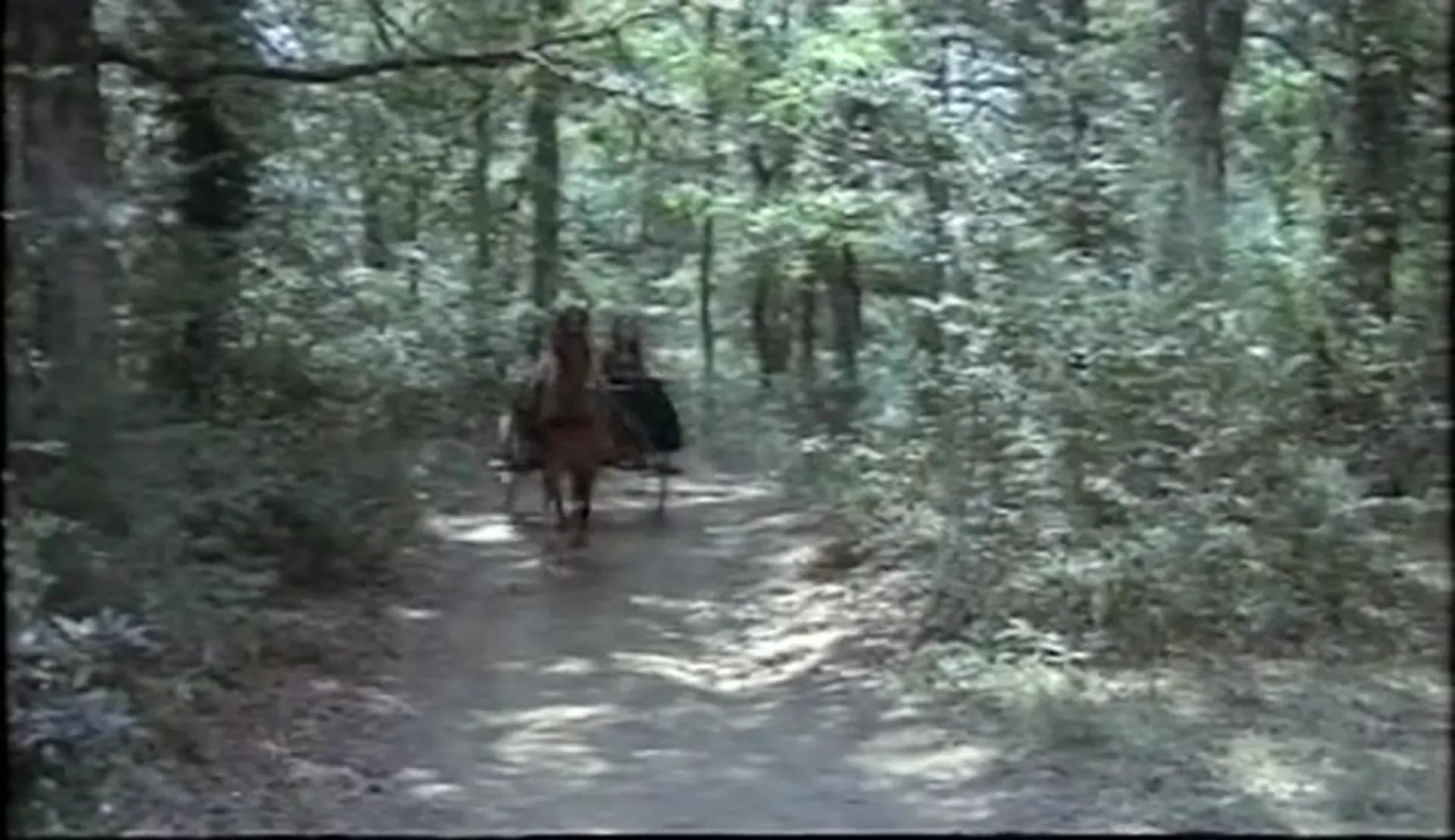 The Hand That Feeds the Dead scene still 5