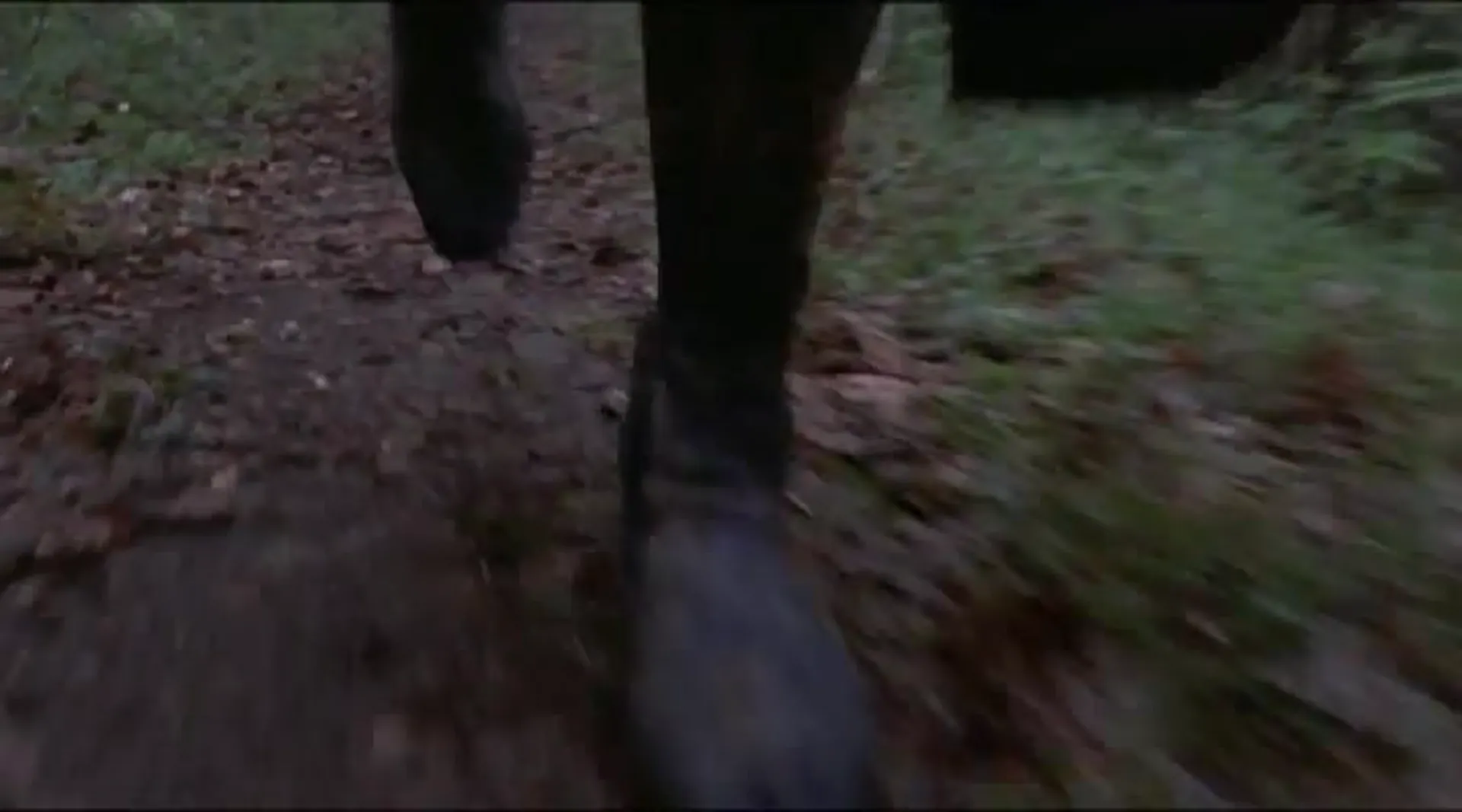 Lover of the Monster scene still 6