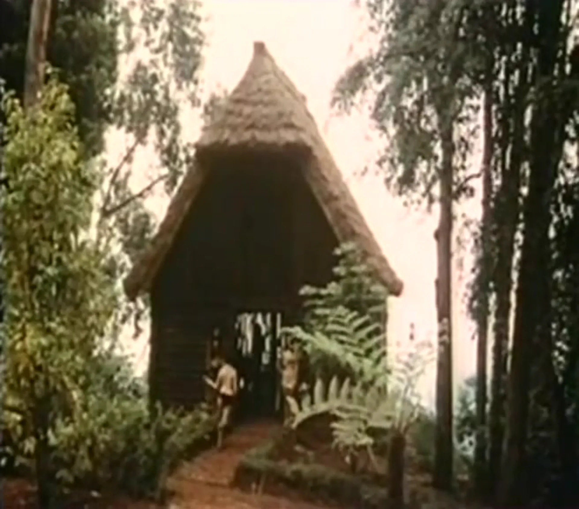 The Lustful Amazons scene still 6