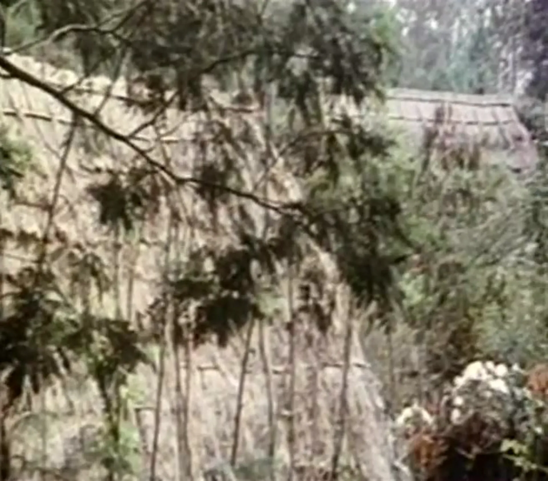 The Lustful Amazons scene still 1