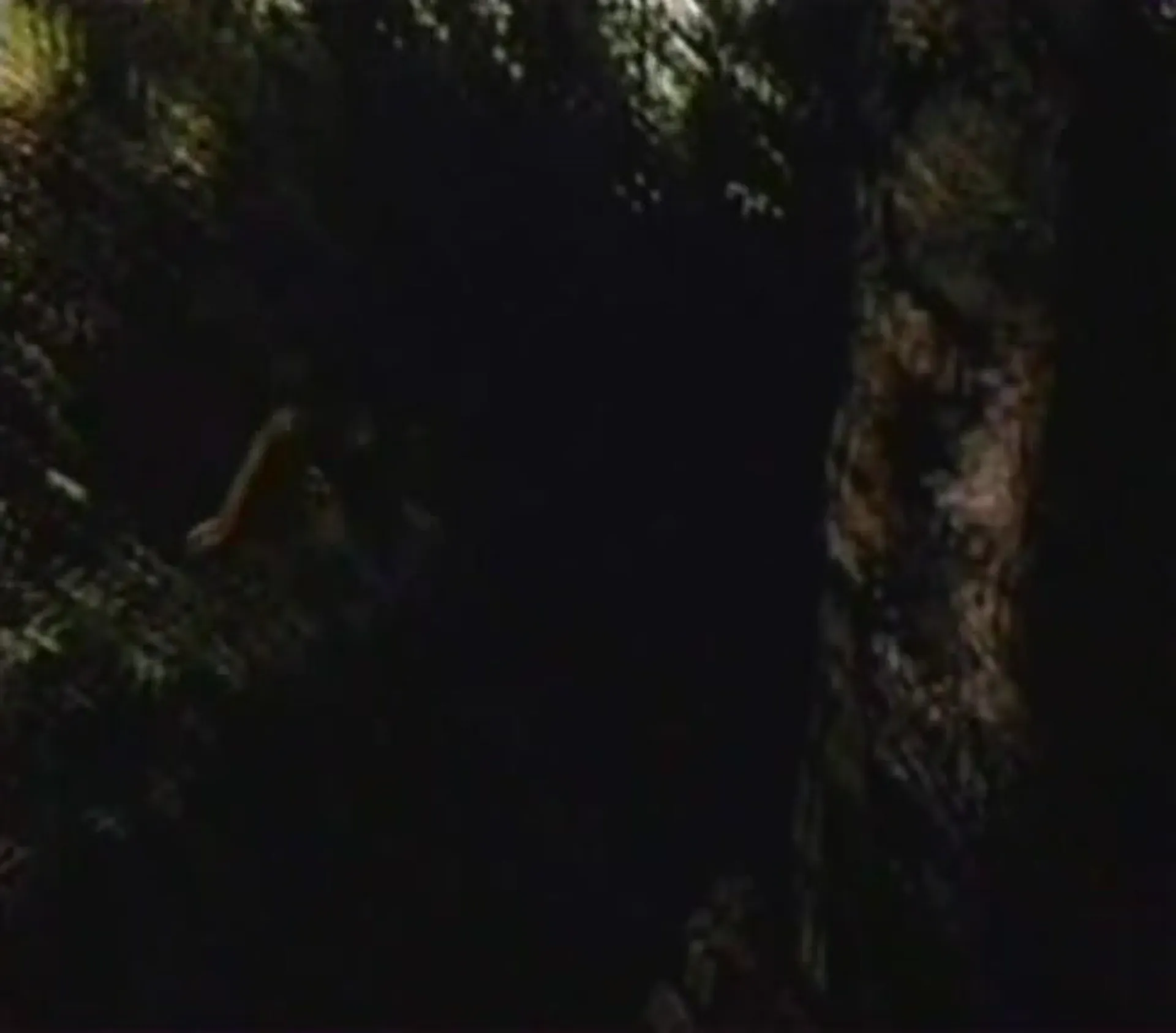 The Lustful Amazons scene still 4