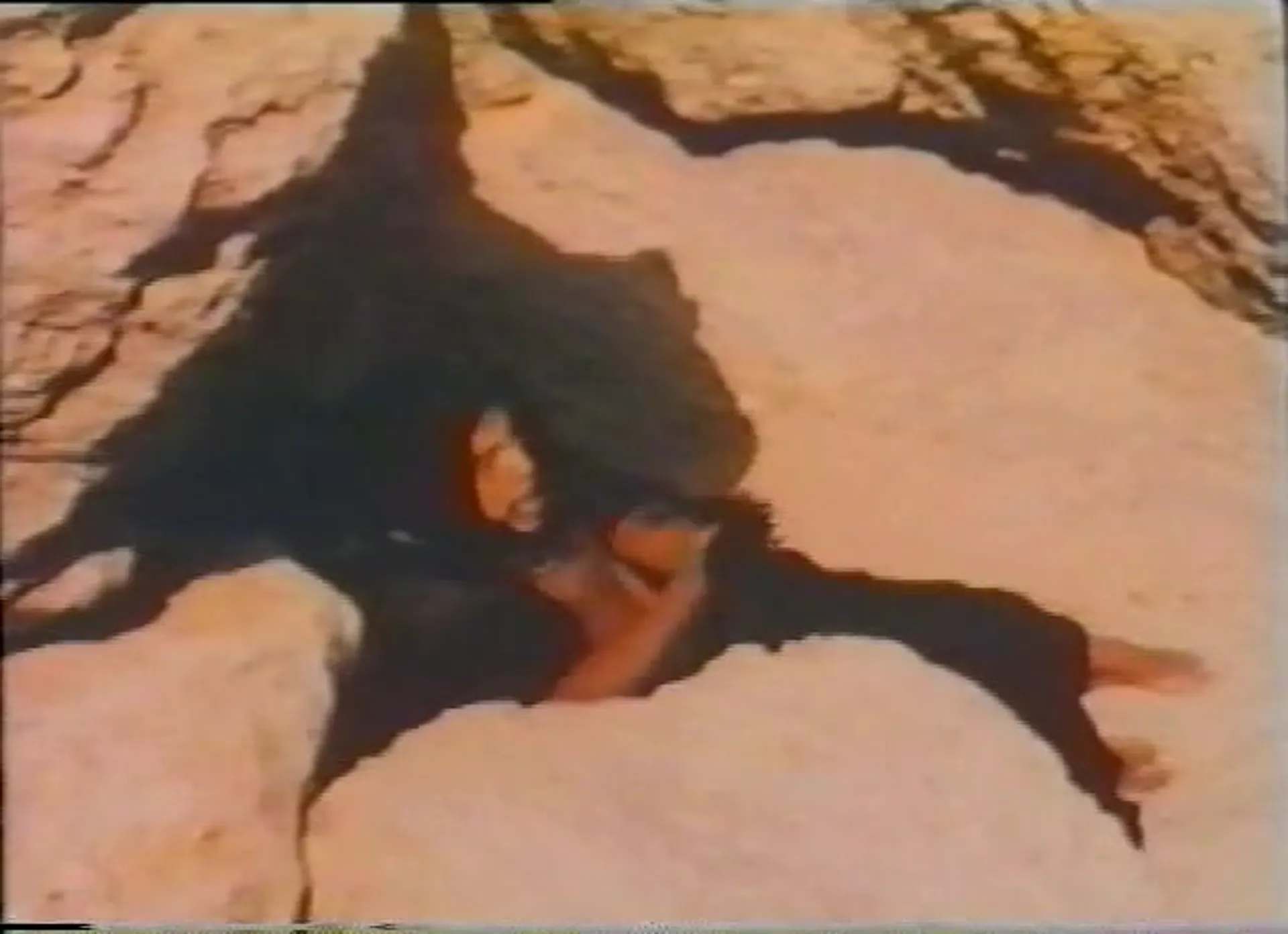 Desert of Fire scene still 2